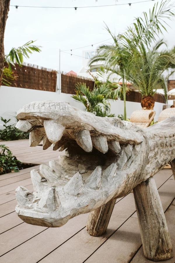 Dreamsea Surf House Fuerteventura Hostel Κοραλέχο Εξωτερικό φωτογραφία